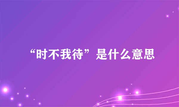 “时不我待”是什么意思