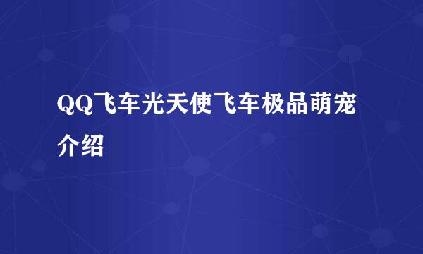 QQ飞车光天使飞车极品萌宠介绍