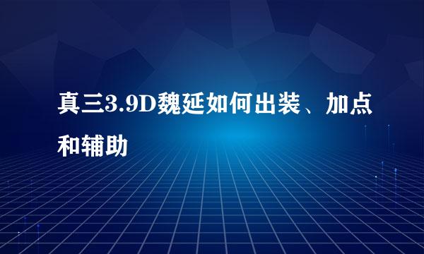 真三3.9D魏延如何出装、加点和辅助