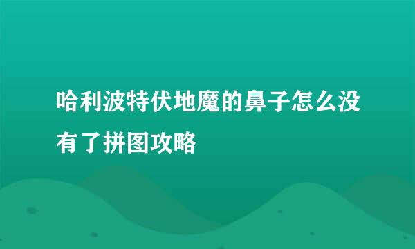 哈利波特伏地魔的鼻子怎么没有了拼图攻略