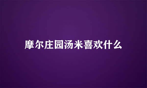 摩尔庄园汤米喜欢什么