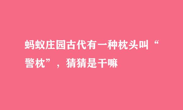 蚂蚁庄园古代有一种枕头叫“警枕”，猜猜是干嘛