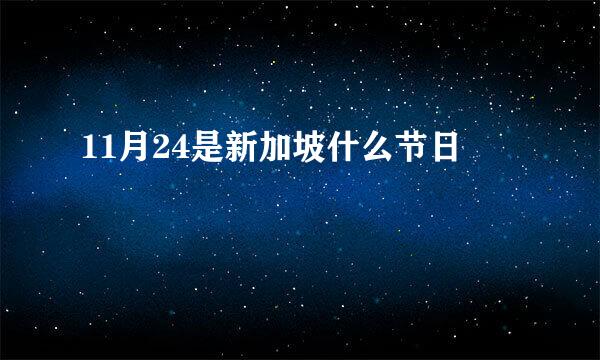 11月24是新加坡什么节日