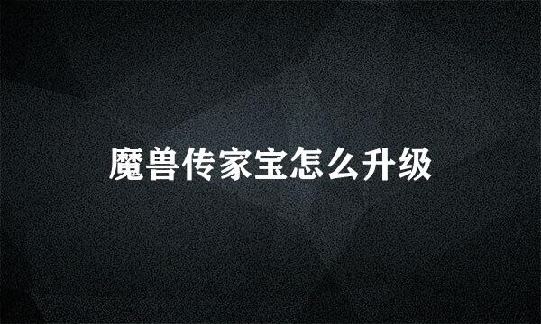 魔兽传家宝怎么升级