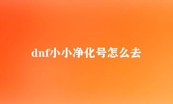 dnf小小净化号怎么去