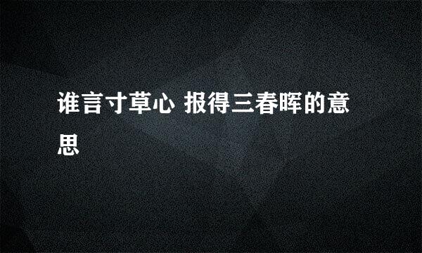 谁言寸草心 报得三春晖的意思