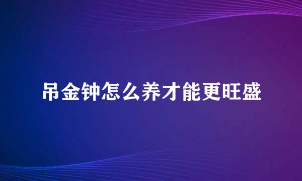 吊金钟怎么养才能更旺盛