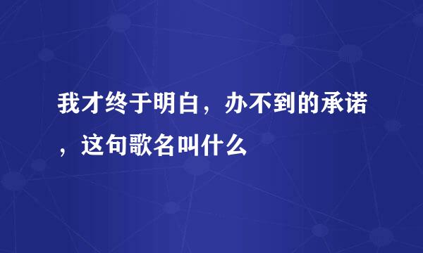 我才终于明白，办不到的承诺，这句歌名叫什么