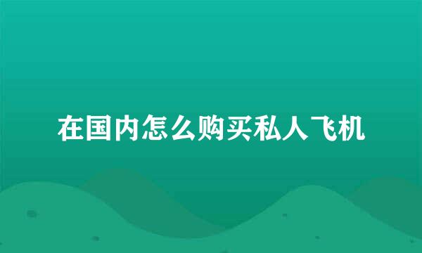 在国内怎么购买私人飞机