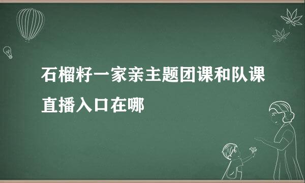 石榴籽一家亲主题团课和队课直播入口在哪