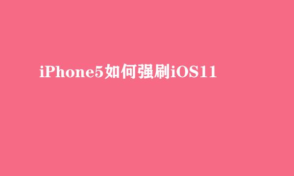 iPhone5如何强刷iOS11