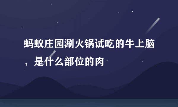 蚂蚁庄园涮火锅试吃的牛上脑，是什么部位的肉