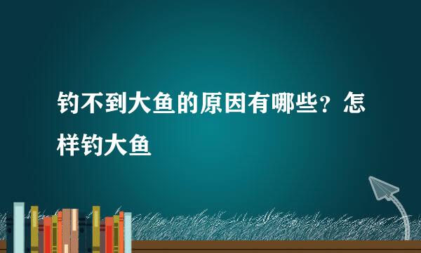 钓不到大鱼的原因有哪些？怎样钓大鱼