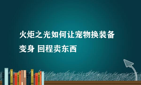 火炬之光如何让宠物换装备 变身 回程卖东西