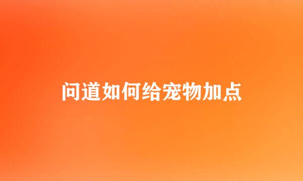 问道如何给宠物加点