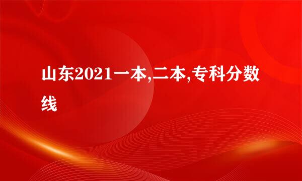 山东2021一本,二本,专科分数线