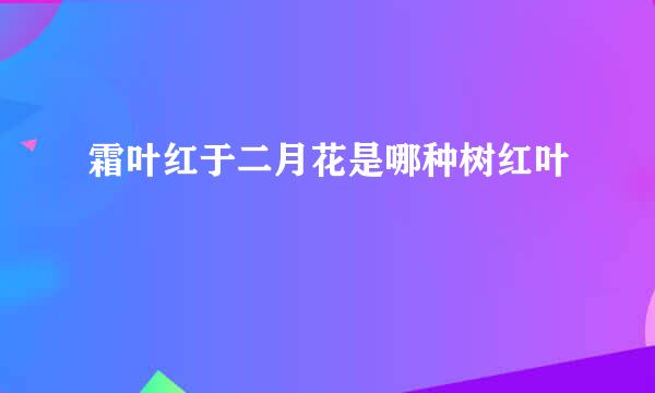 霜叶红于二月花是哪种树红叶