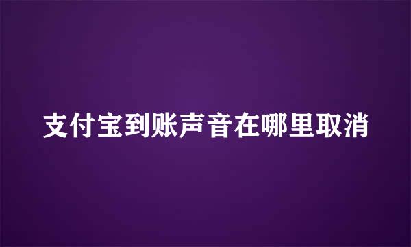 支付宝到账声音在哪里取消