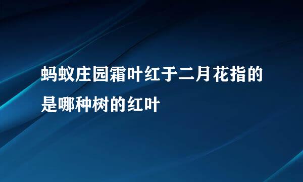 蚂蚁庄园霜叶红于二月花指的是哪种树的红叶