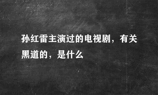 孙红雷主演过的电视剧，有关黑道的，是什么