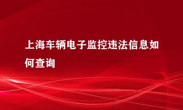 上海车辆电子监控违法信息如何查询