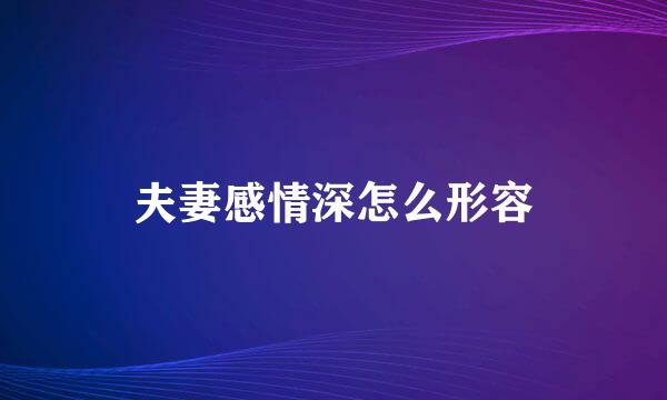 夫妻感情深怎么形容