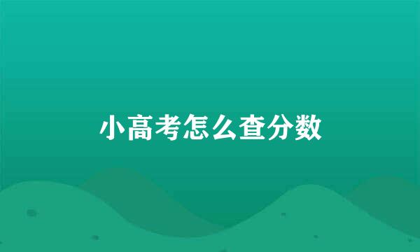 小高考怎么查分数