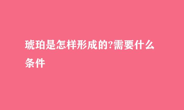 琥珀是怎样形成的?需要什么条件