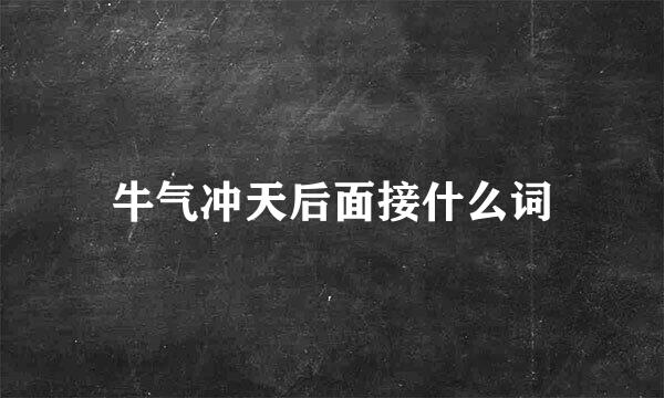 牛气冲天后面接什么词