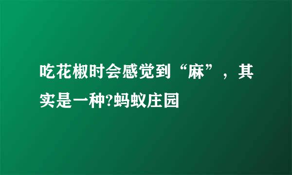 吃花椒时会感觉到“麻”，其实是一种?蚂蚁庄园