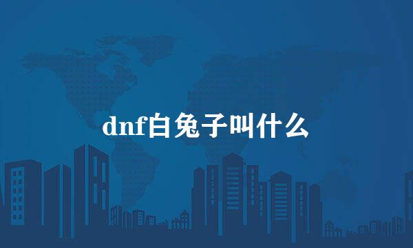 dnf白兔子叫什么