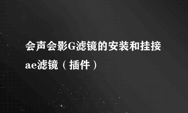 会声会影G滤镜的安装和挂接ae滤镜（插件）