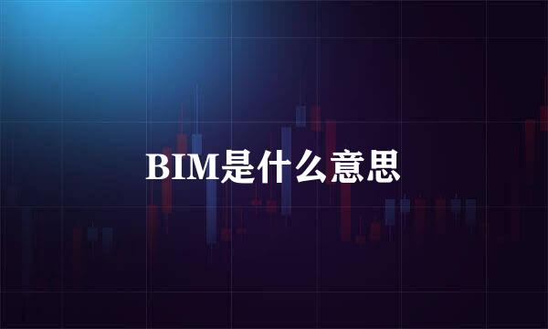 BIM是什么意思