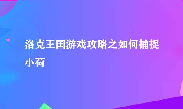 洛克王国游戏攻略之如何捕捉小荷