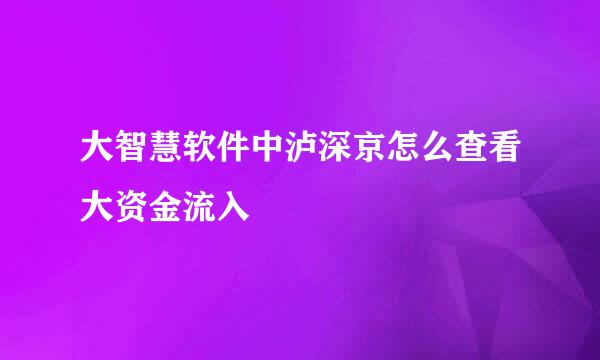 大智慧软件中泸深京怎么查看大资金流入