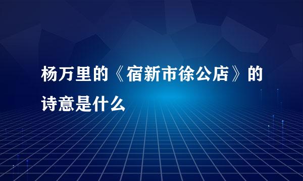 杨万里的《宿新市徐公店》的诗意是什么