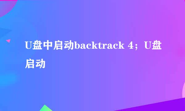 U盘中启动backtrack 4；U盘启动