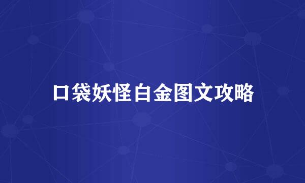 口袋妖怪白金图文攻略