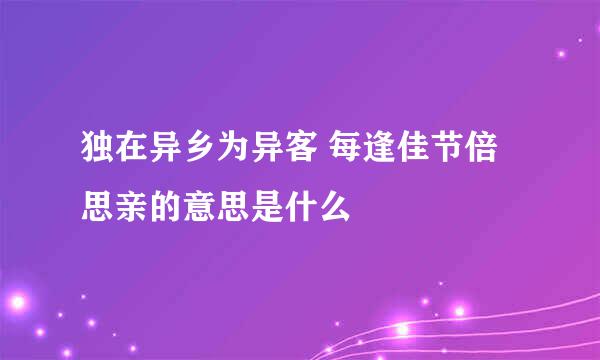 独在异乡为异客 每逢佳节倍思亲的意思是什么