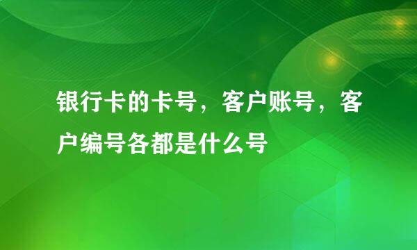 银行卡的卡号，客户账号，客户编号各都是什么号