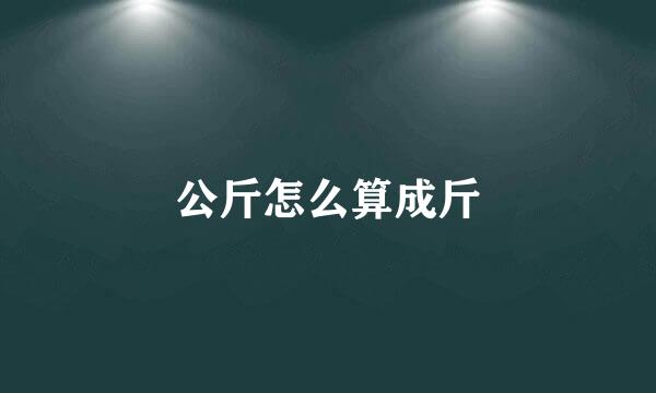 公斤怎么算成斤