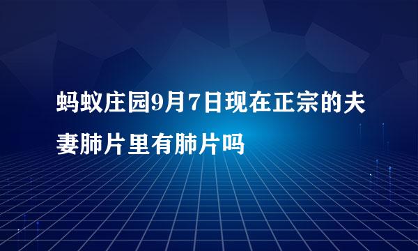 蚂蚁庄园9月7日现在正宗的夫妻肺片里有肺片吗