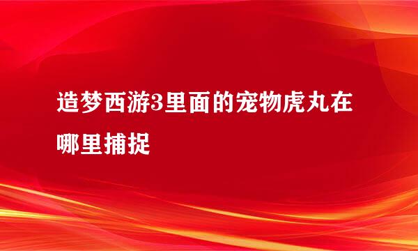 造梦西游3里面的宠物虎丸在哪里捕捉