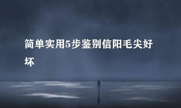 简单实用5步鉴别信阳毛尖好坏