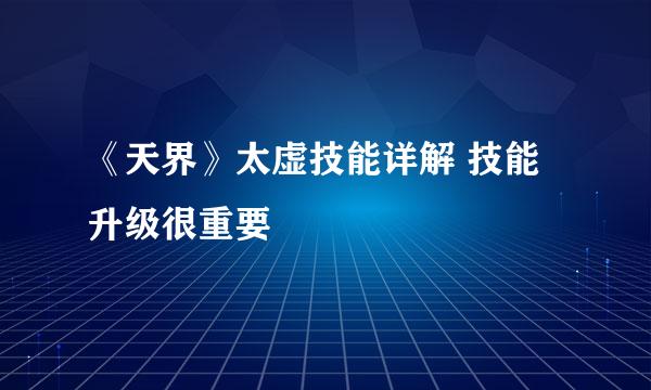 《天界》太虚技能详解 技能升级很重要