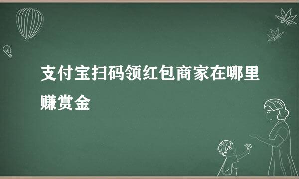 支付宝扫码领红包商家在哪里赚赏金