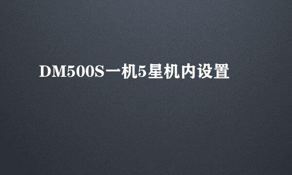 DM500S一机5星机内设置