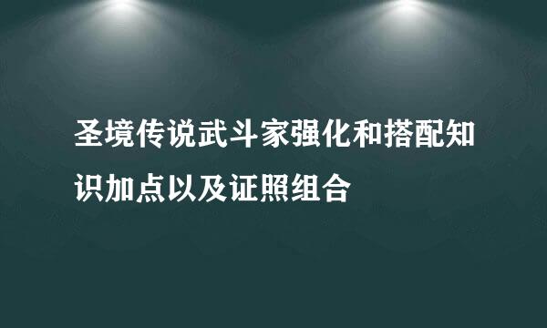 圣境传说武斗家强化和搭配知识加点以及证照组合