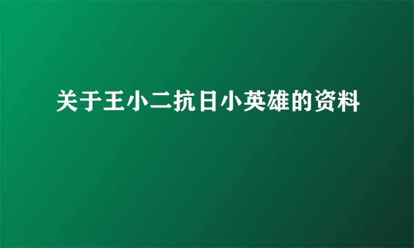 关于王小二抗日小英雄的资料