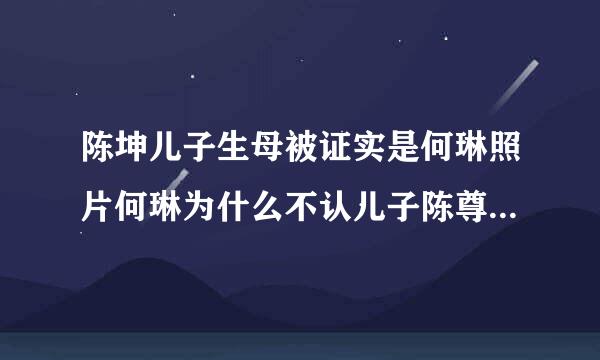 陈坤儿子生母被证实是何琳照片何琳为什么不认儿子陈尊佑生子实情